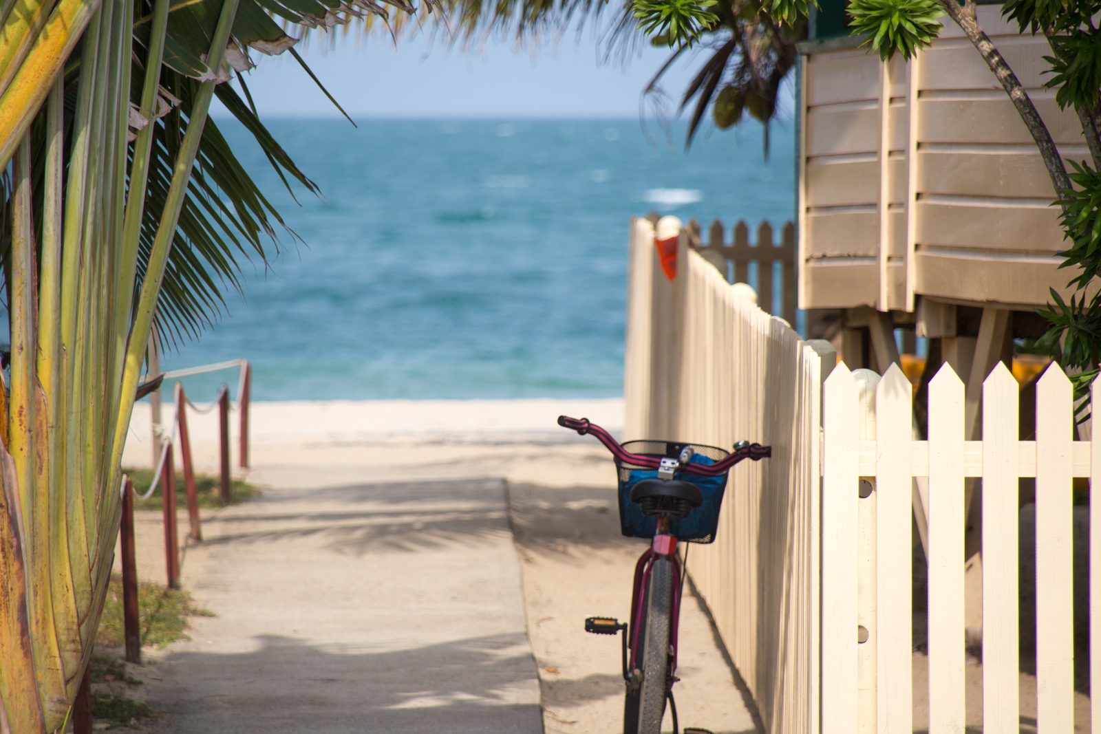 Palm-lined Florida shoreline at golden hour.