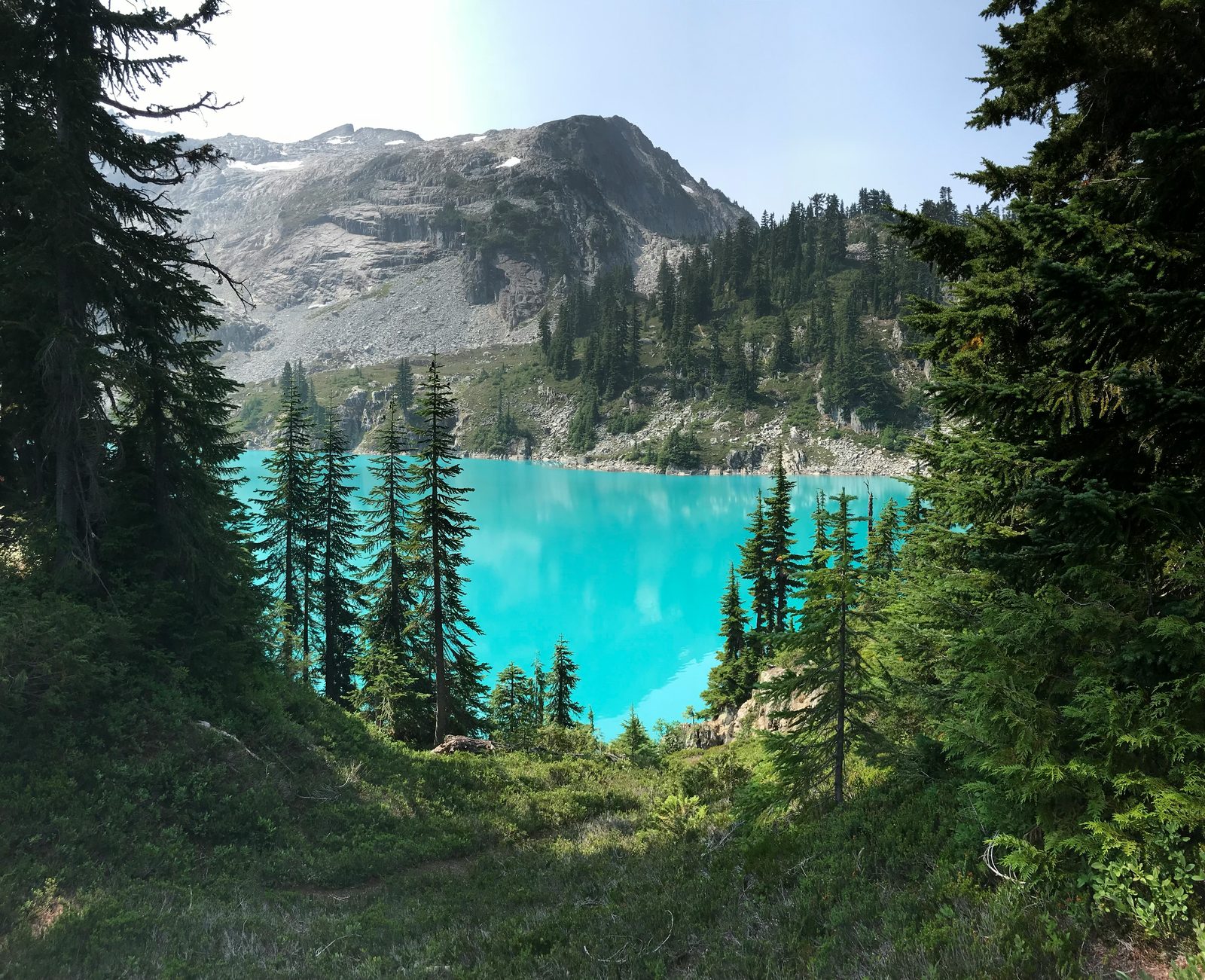 Evergreen forest and mountains in the Washington Cascades.